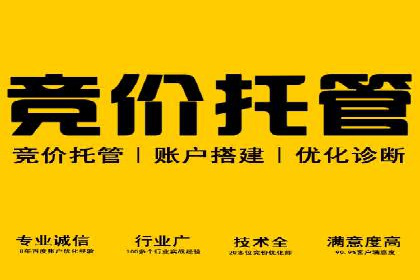 案例分析：SEM广告助力电商行业突破